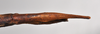 CollectionObject 1558575; NTUC 711, 57cd386d-c046-4ad5-b21a-8850a429580d: copyright NTUC. female: end of abdomen, ventral view of Entoria okinawaensis (holotype). (CollectionObject).