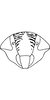 Head: !! display not done !! on Nephotettix cincticeps (Uhler, 1896): Head, female. (Observation).