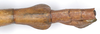 CollectionObject 1562924; 61ae6882-2d16-44f8-beca-123a075aa57e: copyright F. Hennemann. female: end of abdomen, dorsal view (paratype). (CollectionObject).;CollectionObject 1562925; 7868b444-db8f-4ed9-82fe-14e5232c1e12: copyright F. Hennemann. female: end of abdomen, dorsal view (paratype). (CollectionObject).