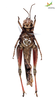 Female. Ventral view Depicts CollectionObject 1861677; Unioeste Cascavel K-0059B, 9e1725ab-f416-4fa4-bee9-5697c5629e76, a CollectionObject.