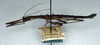 CollectionObject 1559783; NMW 459, f417c0b4-b6f5-4192-aebf-48b3f8b5a5f4: copyright NHMW. male, lateral view (holotype). (CollectionObject).