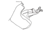 Coyacris brevipennis (Ronderos, 1979): Fig. 6. apex of aedeagus, lateral view. (Otu).
