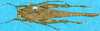CollectionObject 1568309; 67072ead-15e5-46b5-8518-6ec3936be7d8: male, dorsal view. (CollectionObject).