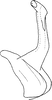 Aedeagus, lateral view on Ebarrius interstinctus (Fieber, 1869): Aedeagus, lateral view. (Observation).