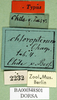 CollectionObject 1500906; 9ad6e7a5-65d1-4591-b3f0-398001e7712d: labels (holotype). (CollectionObject).