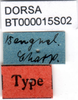 CollectionObject 1502552; 5fd2f7ec-5317-4c48-8323-5d4792118947: labels (syntype). (CollectionObject).