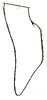 Orchelimum (Metarhoptrum) fraternum Rehn & Hebard, 1915: Pl. IV, Fig. 66 (after type). male left cercus, lateral outline. (Otu).