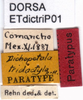 CollectionObject 1537638; 7e7bfe32-fa13-48b5-8d2f-eb6eeaac1538: labels (paratype). (CollectionObject).