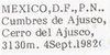 Other on Cixius dislogicus Kramer, 1981: (Observation).
