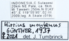 CollectionObject 2052448; bec28ca9-e099-46ac-b993-882095c3cd94: labels (holotype). (CollectionObject).