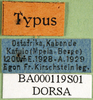 CollectionObject 1501643; 80366882-e7c4-4365-b52a-f2c4c45ac569, DORSA BA000119S01: labels (holotype of Anthermus kirschsteini). (CollectionObject).