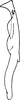 Stylus: !! display not done !! on Asianidia asiatica (Kusnezov, 1932): Stylus (A. asiatica Kusn.). (Observation).