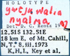 CollectionObject 1504235; e8bbbac7-b271-42c9-85d5-7b7ca0a221c3: labels (holotype). (CollectionObject).