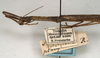 CollectionObject 1562077; NMW 1064', 2643ab10-6cb3-470d-ac44-84a036dc05a4: copyright NMW, Vienna. male: head and thorax, lateral view (syntype). (CollectionObject).