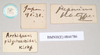 CollectionObject 1559845; NHMUK(SF IMPORT DUPLICATE) 844786-844788, ea4a7d0d-2a59-4bd7-b5c8-1c0ec6194e6d: copyright Natural History Museum, London. female, data labels of Marmessoidea phluctainoides (syntype). (CollectionObject).
