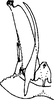 Subgenital plate, ventral view on Bolanusoides bohater Dworakowska, 1988: Subgenital plate, stylus and connective. (Observation).
