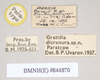CollectionObject 1557945; 82488c0f-5e00-477b-9c3f-05536d232a06: copyright Natural History Museum, London. male, data labels (paratype). (CollectionObject).;CollectionObject 1557946; c99e70f7-516a-4c8c-9245-478afe0d9f52: copyright Natural History Museum, London. male, data labels (paratype). (CollectionObject).