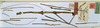 CollectionObject 1559020; fd06cf01-4c21-4bed-89a0-6a43e6d0e90d: copyright NHRS, Stockholm. male of synonym Donusa prolixa (syntype). (CollectionObject).;CollectionObject 1559021; 3fe6de0d-6562-44e1-a229-8ddc11754e94: copyright NHRS, Stockholm. male of synonym Donusa prolixa (syntype). (CollectionObject).