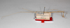 CollectionObject 1557918; 17e96f36-e74d-4bf0-a8ce-a2917bd4854e: copyright ZMHB, Berlin. male, lateral view (holotype). (CollectionObject).
