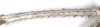 CollectionObject 1563484; 1c50b8bd-9354-47c4-b200-7ba4bb66c162: copyright Natural History Museum, London. female: mid femur, ventral view (holotype). (CollectionObject).