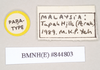 CollectionObject 1563497; NHMUK(SF IMPORT DUPLICATE) 844803, 3f611afb-eec3-4c50-a92f-80e6040aa20b: copyright Natural History Museum, London. female, data labels (paratype). (CollectionObject).