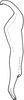 Stylus on Arbelana ulmi (Anufriev, 1969): Stylus (parazitized). (Observation).