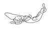 Demochares cristulatus (Stål, 1878): Fig. 100. Male, endophallus (lateral view). (Otu).