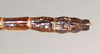 CollectionObject 1557056; a5922607-3adb-4ec4-9f31-7a4459a8d2e8: copyright Natural History Museum, London. male: end of abdomen, dorsal view (holotype). (CollectionObject).