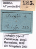 CollectionObject 1538287; ca4c963a-fa3e-462e-a2c4-4ce2579a4164: labels (holotype). (CollectionObject).