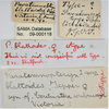 CollectionObject 1863685; 242be26f-ecc1-48c5-b9e2-ba05ddabdee4: (CollectionObject).