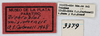 CollectionObject 1514324; MLP3379, 0afad15c-8014-4496-a397-45326baa5a24: labels (paratype). (CollectionObject).