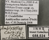 Other: !! display not done !! on Amblysellus curtisii (Fitch, 1851): Labels. (Observation).