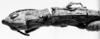 CollectionObject 1567380; a0422d7d-ede2-42a7-b4c4-4dff8e72e5b2: Image Carbonell, C.S. female, head and pronotum, dorsal view (paralectotype). (CollectionObject).