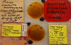 CollectionObject 2321674; e9af7e51-141a-4f32-bc92-6d41c007572a, EMEC 17335: (CollectionObject).