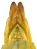 CollectionObject 1586492; a11ce751-1a35-4166-8f71-8d0370152ba4: copyright IMQC. male: end of abdomen, ventral view (paratype). (CollectionObject).;CollectionObject 1586493; 98faf60d-f949-44d6-9e44-92137cf217cb: copyright IMQC. male: end of abdomen, ventral view (paratype). (CollectionObject).;CollectionObject 1586494; 1f5c5ba6-04ff-465b-82b6-02495b8db84f: copyright IMQC. male: end of abdomen, ventral view (paratype). (CollectionObject).