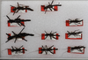 CollectionObject 1563145; 37af8056-532c-40e0-93c8-b2757faf7f64: copyright USNM, Washington. male and female (paratypes). (CollectionObject).;CollectionObject 1563146; 1e563205-e8af-43cf-9883-cdd32cdc348a: copyright USNM, Washington. male and female (paratypes). (CollectionObject).;CollectionObject 1563147; 102e706c-7684-4be2-8fa7-807dbd94b9db: copyright USNM, Washington. male and female (paratypes). (CollectionObject).