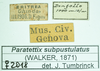 CollectionObject 1585168; eb60d7eb-7fb5-40c3-aa0a-9fc3ed24bf68: labels. (CollectionObject).