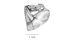Salvadoracris nigritus Matiotti da Costa & Silva Carvalho, 2006: Fig. 1D. male abdomen tip, lateral view. (Otu).