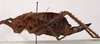 CollectionObject 1534546; f649ad2b-bec5-4fe1-94b6-fc317d6b3723: female, lateral view (holotype of Choeroparnops platythorax). (CollectionObject).