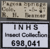 Other on Carsonus irroratus (Ball, 1902): Labels. (Observation).
