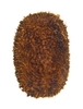 Paraphasma Redtenbacher, 1906: copyright Pedro Ivo Chiquetto-Machado. egg, lateral view of TYPE SPECIES Paraphasma marginale. (Otu).