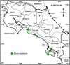 Eriolus duplidentis Naskrecki, 2000: map. (Otu).