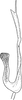 Aedeagus, lateral view on Enantiocephalus cornutus (Herrich-Schäffer, 1838): Aedeagus, lateral view. (Observation).