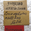 labels (syntype). Depicts CollectionObject 1505645; b6edbaae-f74e-466a-9448-15e922ec5835, a CollectionObject.