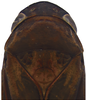 Head on Coarctana occultata Domahovski & Cavichioli, 2023: Male holotype [MUSM]: head, pronotum and mesonotum, dorsal view. (Observation).