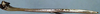 CollectionObject 1520681; cbaa06a9-8abb-41f0-9d97-45cbf19cdc76: female ovipositor (syntype). (CollectionObject).