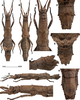 CollectionObject 1583088; 69060d0e-2a6a-4438-9113-4c379a29531c: copyright RBINS, Brussels. female (paratype). A, habitus, dorsal view. B, habitus, ventral view. C, head and thorax, dorsal view. D, terminalia, dorsal view. E, Terminalia anterodorsal view. F, terminalia, lateral view. G., habitus lateral view. H, terminalia, ventral view. I, head and thorax, lateral view. (CollectionObject).;CollectionObject 1583089; 438b3e02-5ed3-48bd-ab3b-a713a2d7c2e0: copyright RBINS, Brussels. female (paratype). A, habitus, dorsal view. B, habitus, ventral view. C, head and thorax, dorsal view. D, terminalia, dorsal view. E, Terminalia anterodorsal view. F, terminalia, lateral view. G., habitus lateral view. H, terminalia, ventral view. I, head and thorax, lateral view. (CollectionObject).