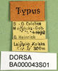 CollectionObject 1501235; 7839474d-ab4f-422e-8ca9-0d3d2719153a, DORSA BA000043S01: labels (holotype). (CollectionObject).