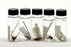 CollectionObject 1581474; 717257a7-4440-423f-9958-704b25fb0463: vials with type specimens. (CollectionObject).