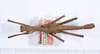 CollectionObject 1558666; 56f6a763-d046-4fd6-b598-5cfc25e7c147: copyright ANSP. male, dorsal view (holotype). (CollectionObject).